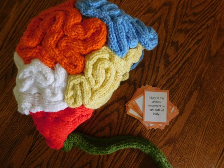 Free Knitting Pattern for Brain Hat Knitting Things