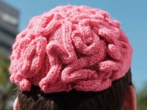 Knitted Brain Hat