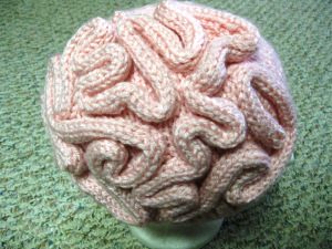 Knitted Brain Hat Pattern Free
